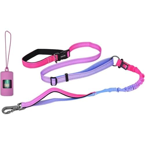 Hands-Free Zipper Pouch Dog Leash 4-6 Foot Elastic Waist Belt Leash Suitable for Medium to Large Dogs Double-Layer Cushioned Handle Car Seatbelt-Style Buckle Dual-Purpose for Training and Jogging — image 1