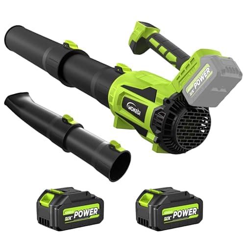 Leaf Blower Cordless, 580CFM Lightweight & Powerful Electric Handheld with 5+1 Speed Modes, Includes 2 Batteries & Fast Charger Kit for Lawn, Patio, Dust, Leaves, Car Drying and Light Snow