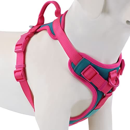 Wolfone No Pull Dog Harness Adjustable Soft Padded Pet Vest with Control Handle Adorable Daily Harness for Dogs(Viridian Green M) — image 1