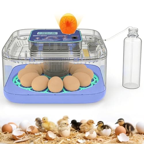 Incubators for Hatching Eggs, 12-24 Egg Digital Incubator with Smart Temperature & Humidity Control, Auto Egg Turner, Egg Candler, Poultry Hatcher for Chicken Eggs, Ducks, Goose, Quail Eggs — image 1