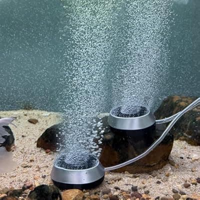 3.5 Inch Aquarium Air Stone Disc Bubble Diffuser Release Tool with 6Ft Air Tube, 2 Pieces Air Stones Oxygen Diffuser for Fish Tank, Ponds & Circulation System, Check Valve Hydroponic Aeration Bubbler