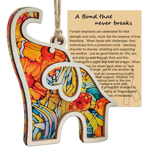 Best Friend, Friendship Elephant Ornament with Story Card, Elephant Gifts for Women, for Women, Sister, Bestie, Unique Friendship Christmas Ornaments — image 1