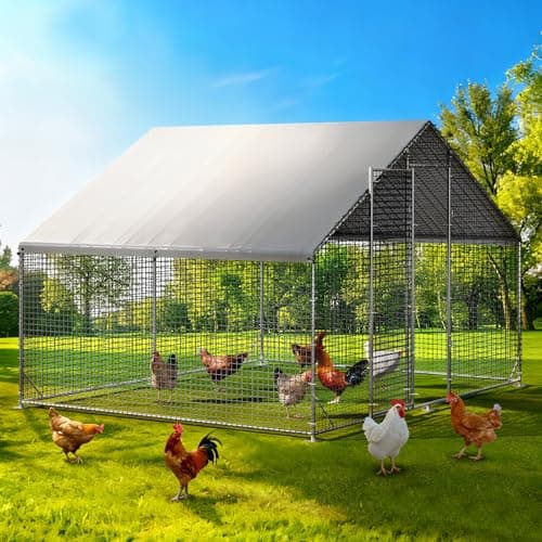 Large Walk-in Chicken Coop with Chicken Run, Galvanized Poultry Enclosure with Waterproof Anti-UV Cover and Security Lock, Ideal for Rabbit, Duck, Backyard and Farm Yard,9.8'x 6.6'x 6.6' — image 1