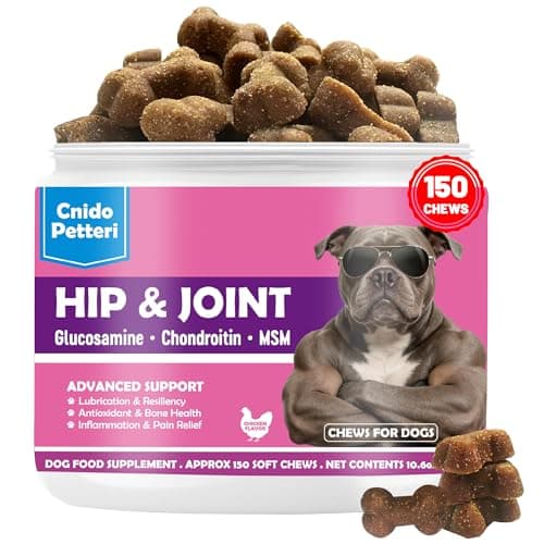 Glucosamine for Dogs Hip and Joint Support - Dog Joint Supplement with Chondroitin, MSM, Turmeric & Omega 3 - Relief for Joint Pain & Inflammation - Mobility & Flexibility - 150 Soft Chews, Chicken — image 1