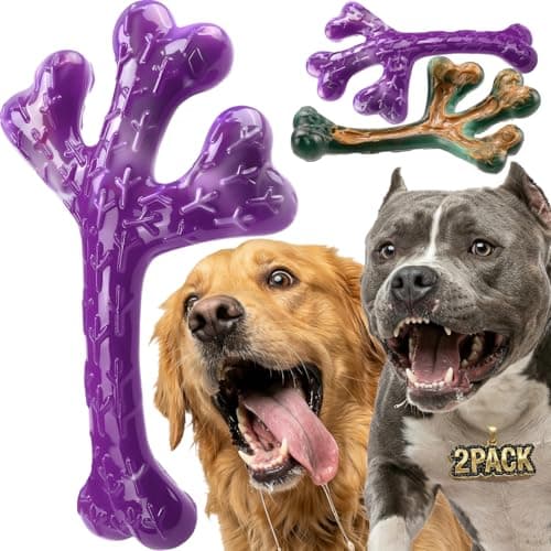 Frienhund XL Cactus Indestructible Dog Chew Toys for Aggressive Chewers - 2 Pack Beef Flavored Nylon Bones for Large Dogs 20-90 lbs, Long Lasting & Keeps Them Busy