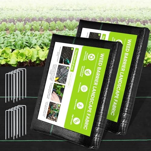 Top 10 Amazing Deals Under $25 You Can't Miss!