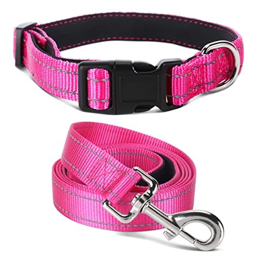 Jumpress Soft Neoprene Padded Dog Collar and Leash Set for Small Medium Large Dogs, Reflective Durable Nylon Dog Collar with 5ft Leash Easy for Walking, Hot Pink,Neck fit 10.5-15.5’’ — image 1