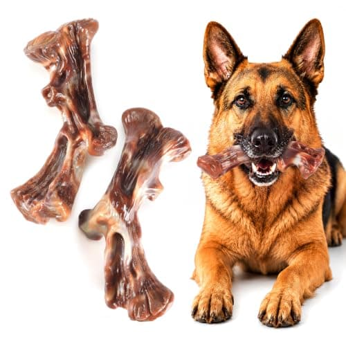 Dog Chew Toys for Aggressive Chewers - 2 Pack Indestructible Dog Toys, Beef and Bacon Flavored Tough Nylon Dog Bones for Aggressive Chewers, Medium Large Breed Dogs to Keep Them Busy — image 1