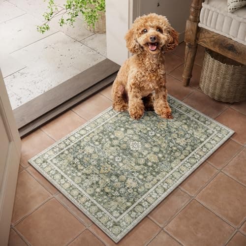 NoiFamo Machine Washable Entryway Small Area Rugs: Soft Non-Slip LowPile Door Mat Indoor Entrance 2x3 ThrowRug for High-Traffic Areas Kitchen, Hallway, Farmhouse Decor — image 1