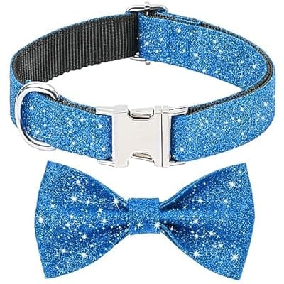 Jumpress Blue Boy Dog Collar with Bow, Bling Male Bowtie Dog Collar for Puppy Small Medium Dogs, Cute Dog Collar for Daily Walking or Holiday Party (Neck fit 11-16’’)