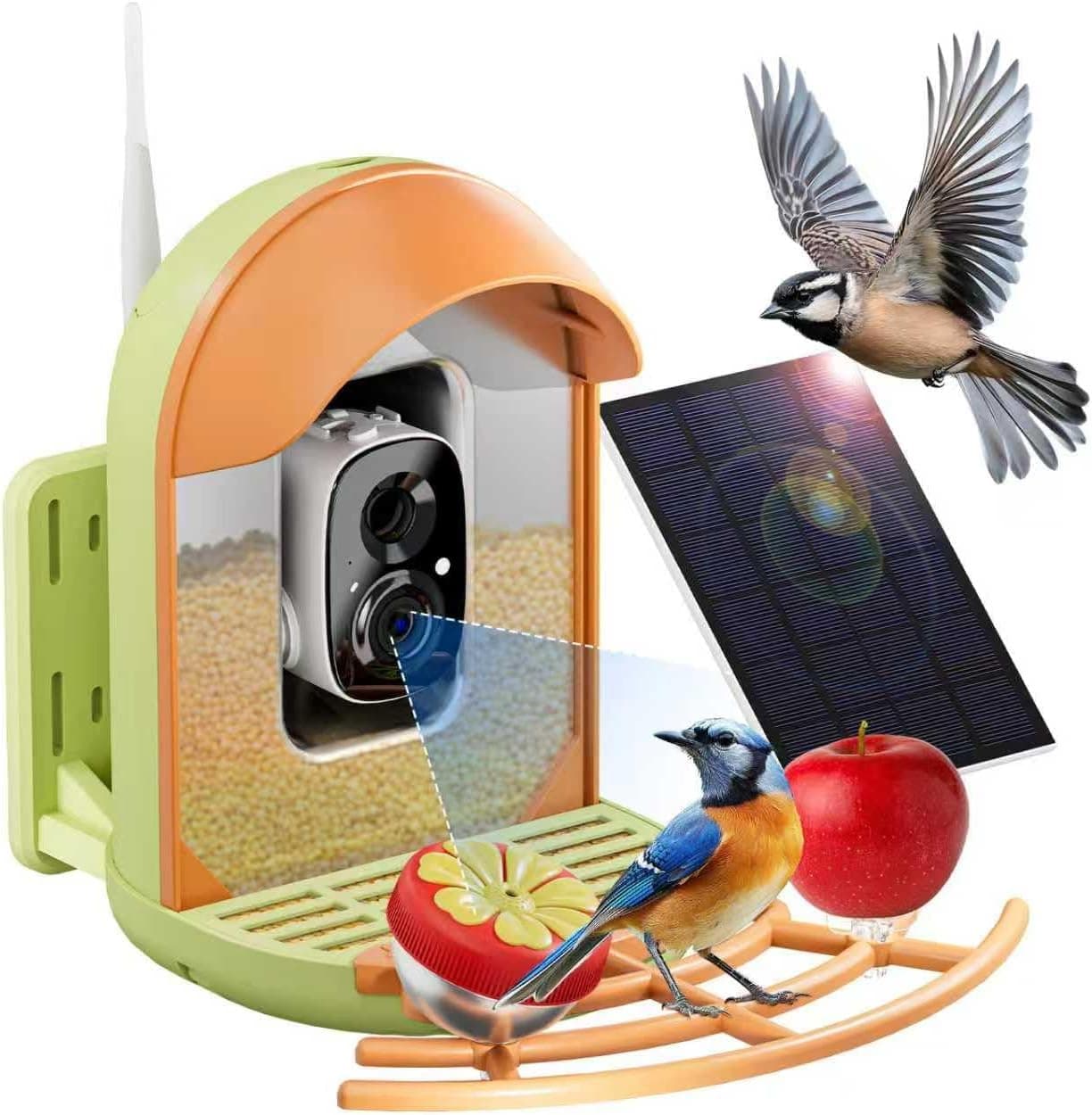 CAMII Bird Feeder with Camera