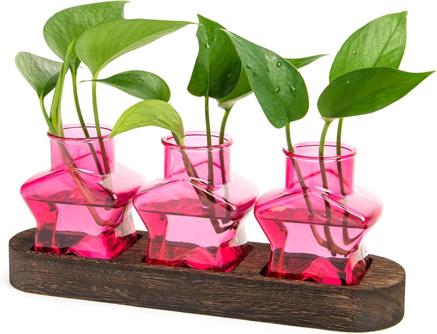 XXXFLOWER Plant Propagation Station