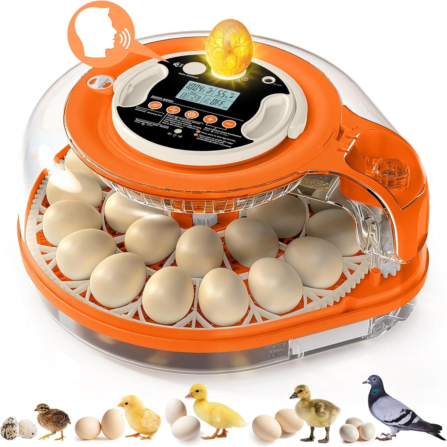 QVKHPCL 26 Incubators for Hatching Eggs